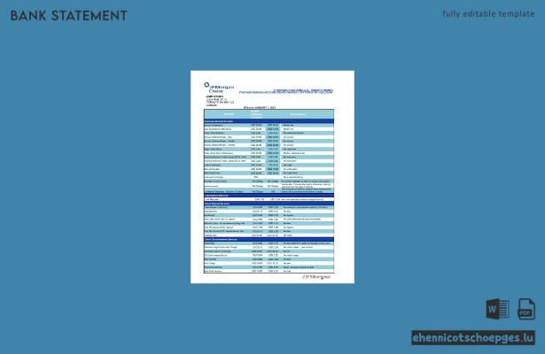USA JP Morgan Chase Kontoauszug (Excel-Beispiel, Vorschau)